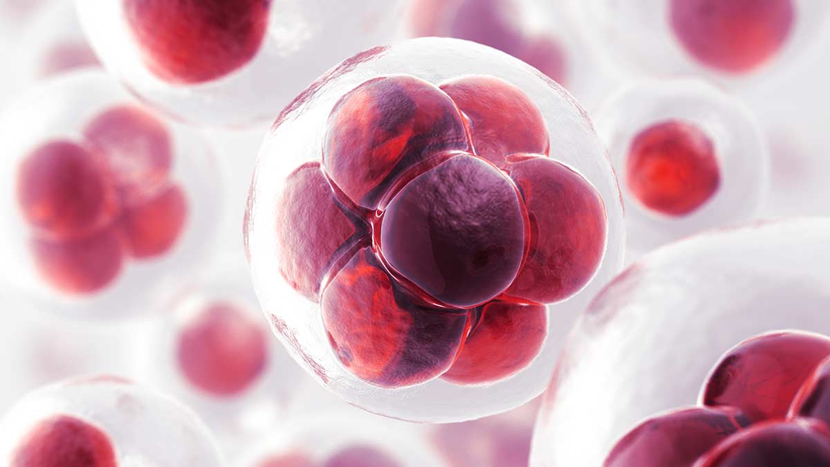 oncology-nursing-nursing-ce-course