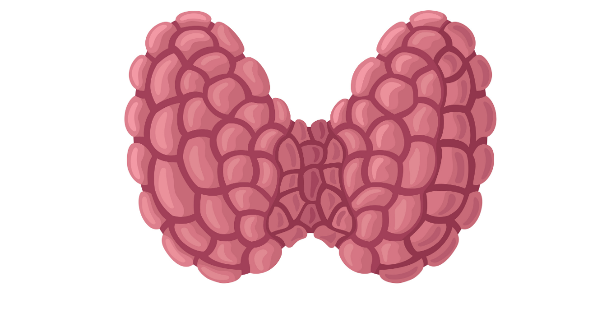 endocrine-hormonal-adrenal-gland-aprn